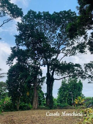  Terrain  vendre 738 m