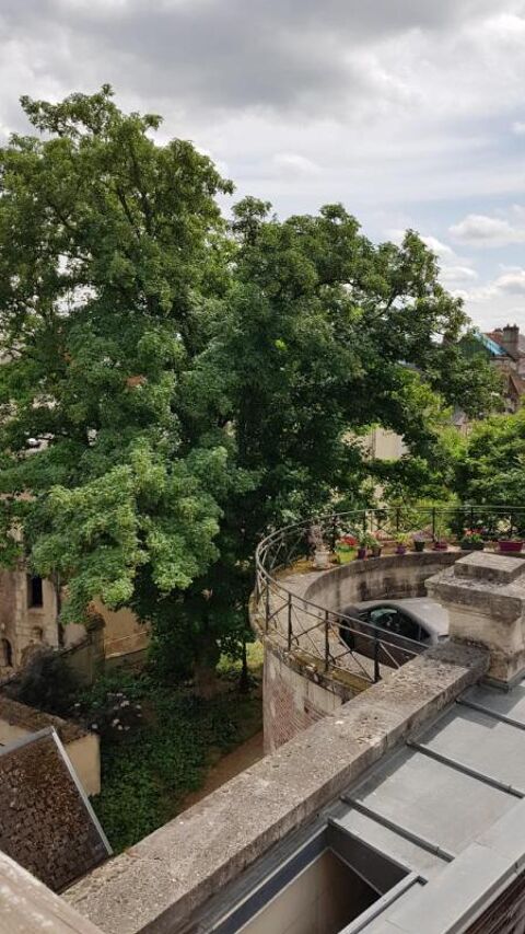  Appartement � louer 2 pi�ces 51 m�