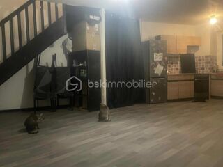  Duplex/triplex � vendre 2 pi�ces 51 m�