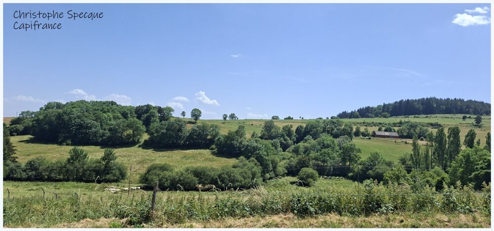Vente Maison Maison de maître rénovée avec dépendances et gîte – Un bien rare au cœur de la campagne LE VERNET SAINTE MARGUERITE (63) Le vernet sainte marguerite