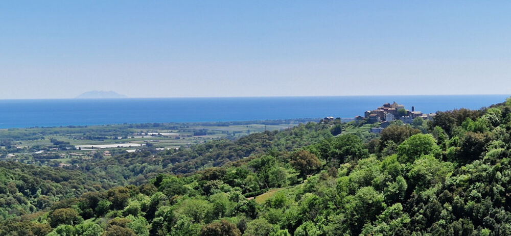 Vente Maison Dpt Corse (20), à vendre SORBO OCAGNANO MAISON 160m² SUR 900m² DE TERRAIN - BELLE VUE MER Sorbo ocagnano