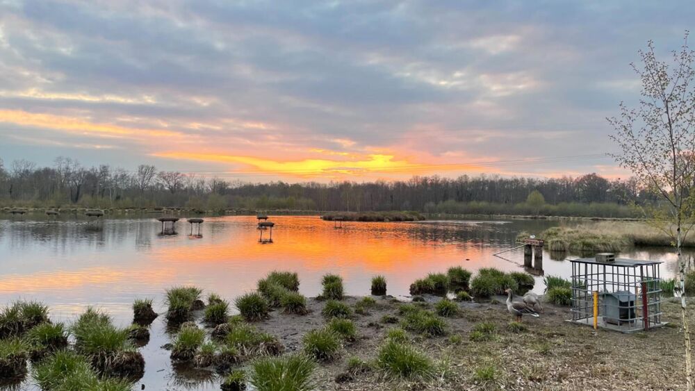 Vente Terrain Propriété de chasse Clemont Clemont