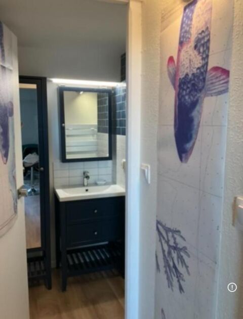  Appartement � louer 1 pi�ce 44 m�