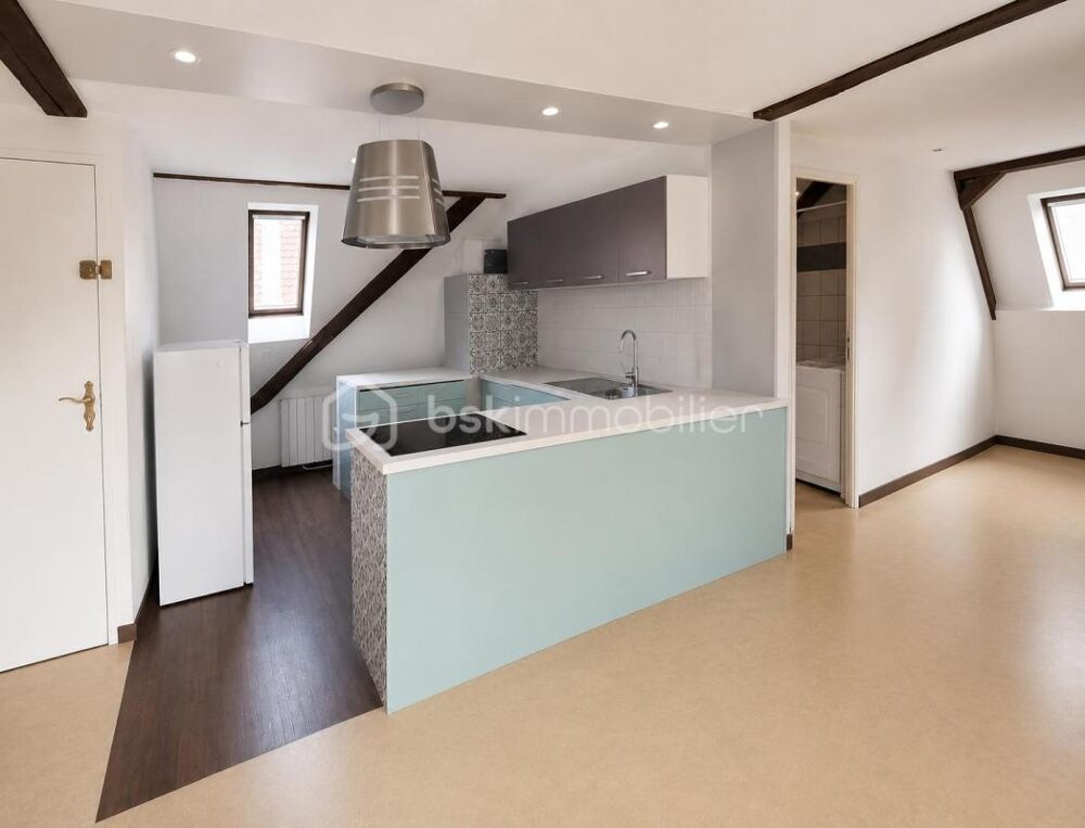 Vente Immeuble Immeuble de rapport au centre ville de Sélestat Selestat