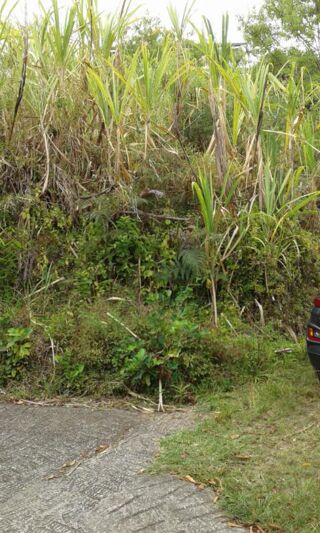  Terrain � vendre 641 m�