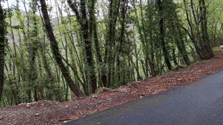  Terrain à vendre 16225 m²