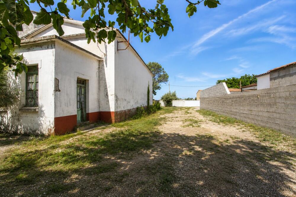 Vente Terrain Terrain Canet 763m2 avec remise Canet