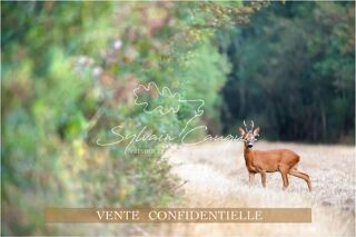  Proprit/chteau  vendre 15 + pices 800 m