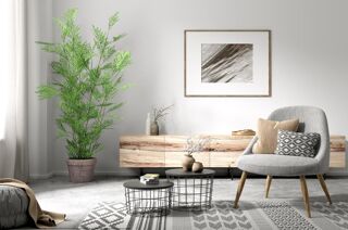  Appartement � vendre 2 pi�ces 40 m�