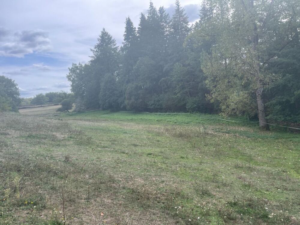 Vente Maison Corps de ferme rénové de 320 m2 habitables avec dépendances et terrain Bessines sur gartempe