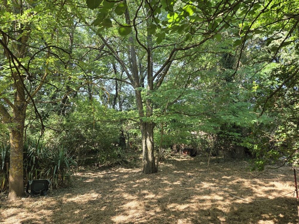 à vendre  Maison Cabriès (13480)