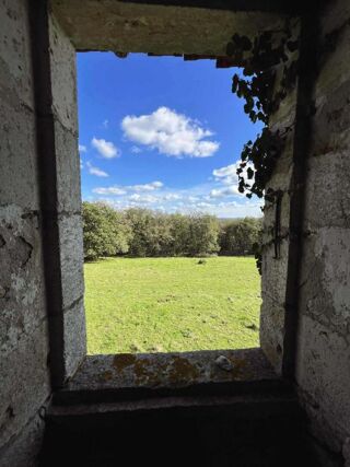  Propriété/château à vendre 5 pièces 150 m²