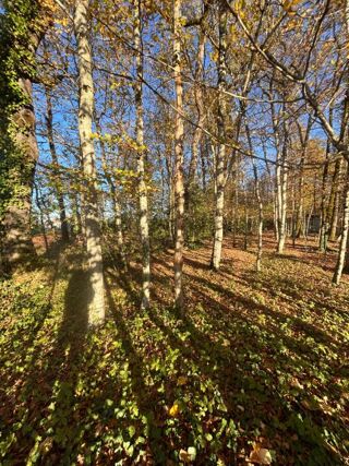  Terrain  vendre 4176 m