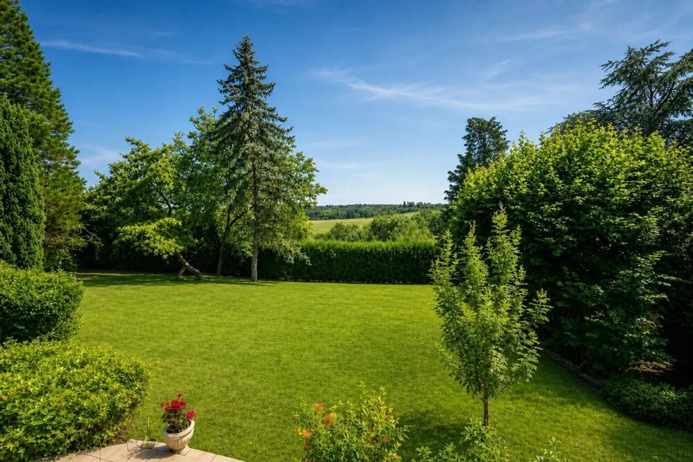à vendre  Propriété/château Chambourcy (78240)