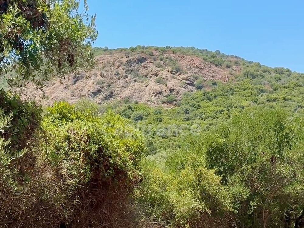 Vente Terrain Terrain à vendre de 3 380 m² GALERIA (Corse) Galeria