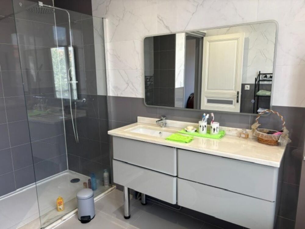 A VENDRE MAGNIFIQUE MAISON EN MEULIERE AU COEUR DE .LA VILLE BROU SUR CHANTEREINE (77)