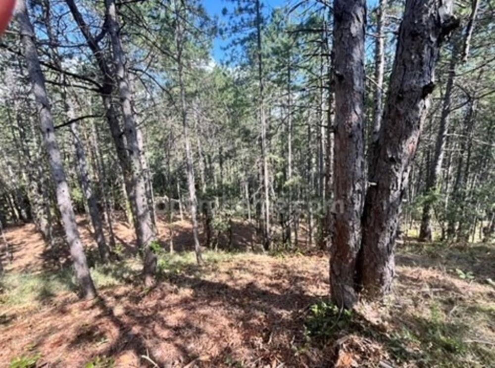 Vente Terrain Terrain à vendre de 3 577,00 m² BOURG SAINT ANDEOL (07) Bourg saint andeol