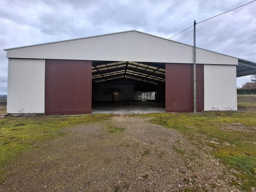   Entrepôt/Local d'activité/bureau - VARENNES SUR ALLIER (03150) - 395 000 euros Varennes sur allier