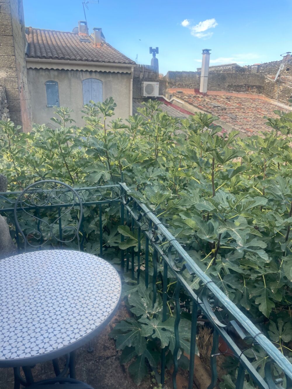 Maison à vendre sud Luberon village de Lauris 2 corps de bâtiments, 3 chambres, 120 m2 environ terrasse caves atelier