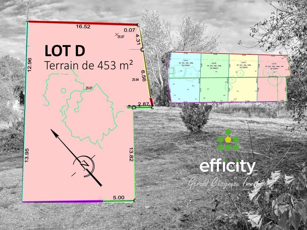 Vente Terrain Terrain Saint lumine de coutais