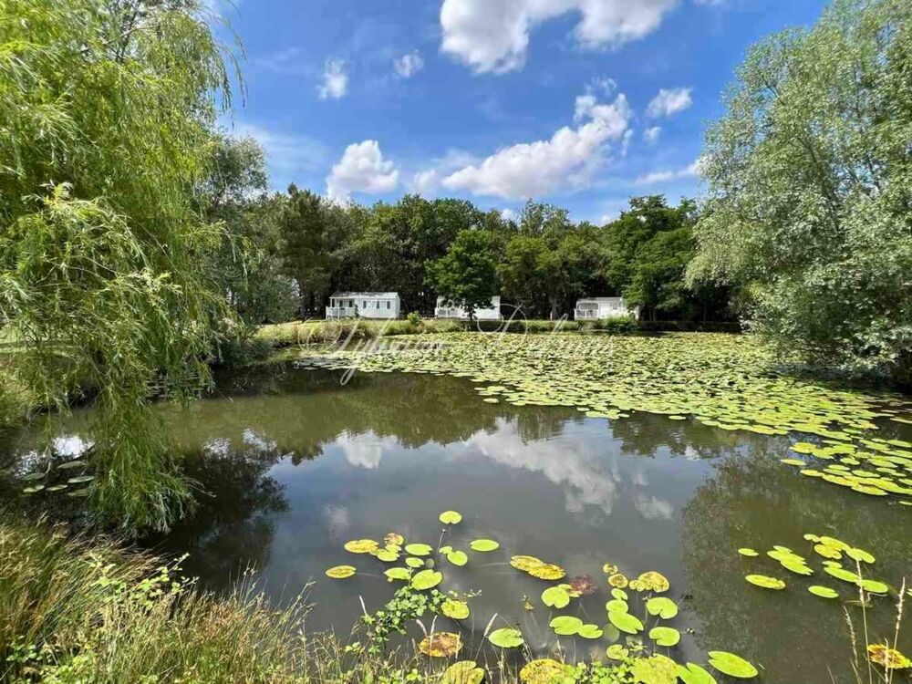 à vendre  Propriété/château Tours (37000)