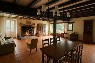  Propri�t�/ch�teau � vendre 10 pi�ces 300 m�