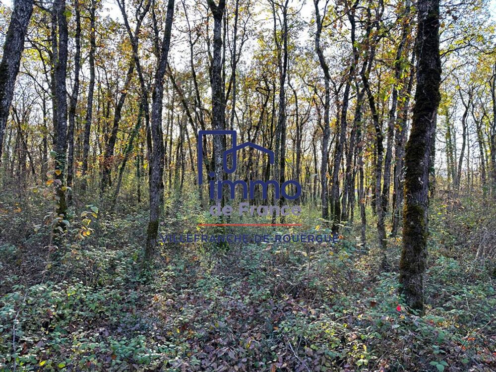 Vente Terrain Savignac, terrain à bâtir viabilisé 7 278 m2 Savignac