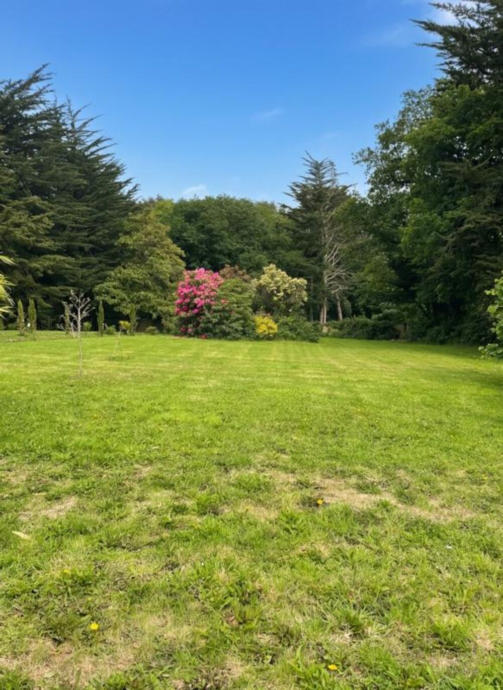 Propriété à vendre SAINT NICOLAS DU PELEM (22)
