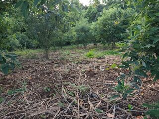  Terrain � vendre 1043 m�