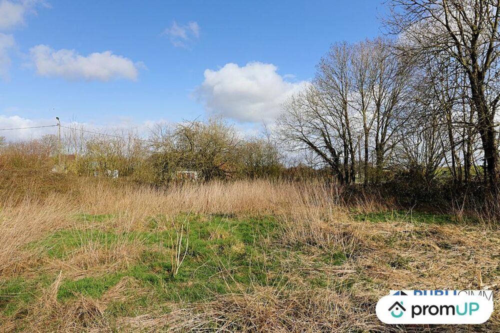 Vente Terrain Terrain constructible 1 397 m Beauval