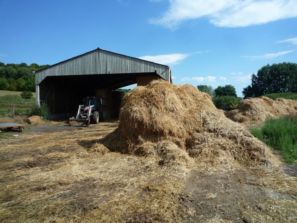  vendre  Proprit/chteau Coucy-le-Chteau-Auffrique (02380)