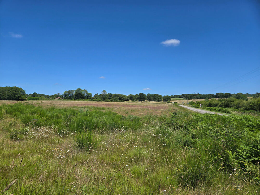 Vente Terrain 90 HECTARES DE TERRE AGRICOLE Oradour sur vayres