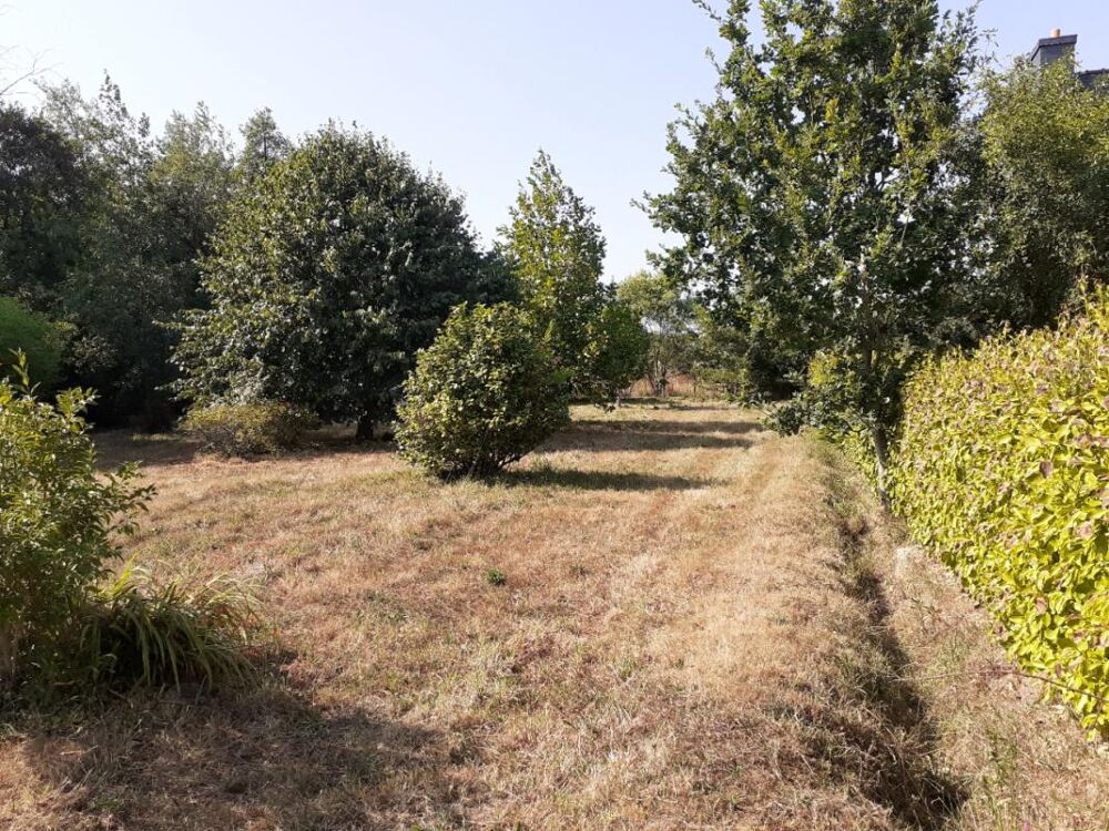 Vente Terrain Terrain constructible 1200 m² à TELGRUC (29 560) Presqu'île de Crozon Telgruc sur mer