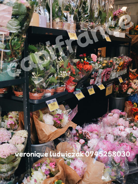 Fonds de commerce &agrave; vendre MONTIGNY EN OSTREVENT (59) 57500 59182 Montigny en ostrevent