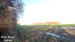  Terrain � vendre 3640 m�