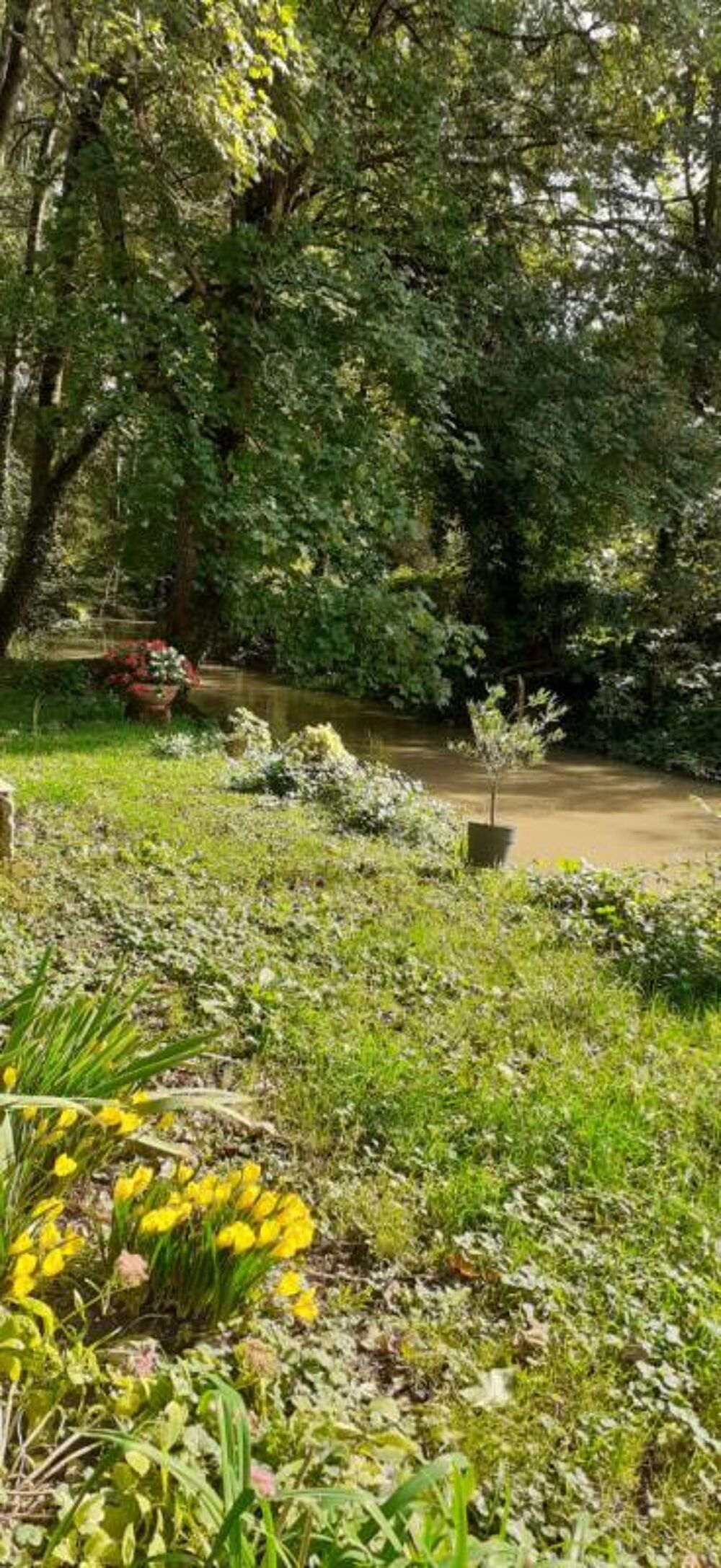 à vendre  Propriété/château Vendôme (41100)