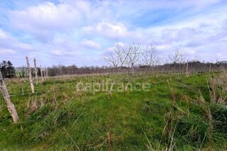  Terrain � vendre 33210 m�