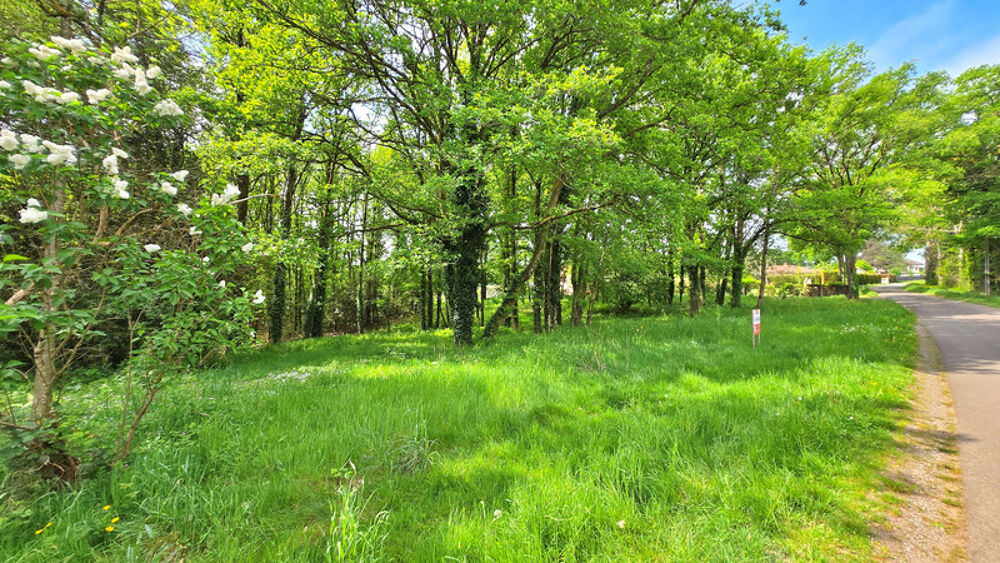 Vente Terrain Terrain 6 365,00 m² SAINT JUNIEN (87) - Environnement campagne Saint junien
