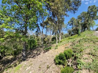  Terrain  vendre 5909 m