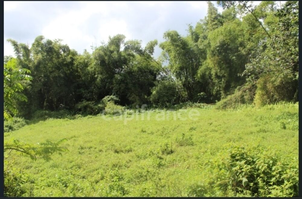 Vente Terrain À Vendre – Grand terrain à bâtir de 6 130 m² à Ajoupa-Bouillon (Martinique) L ajoupa bouillon