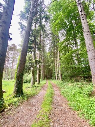  Proprit/chteau  vendre 15 + pices 641 m