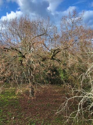  Maison � vendre 4 pi�ces 70 m�