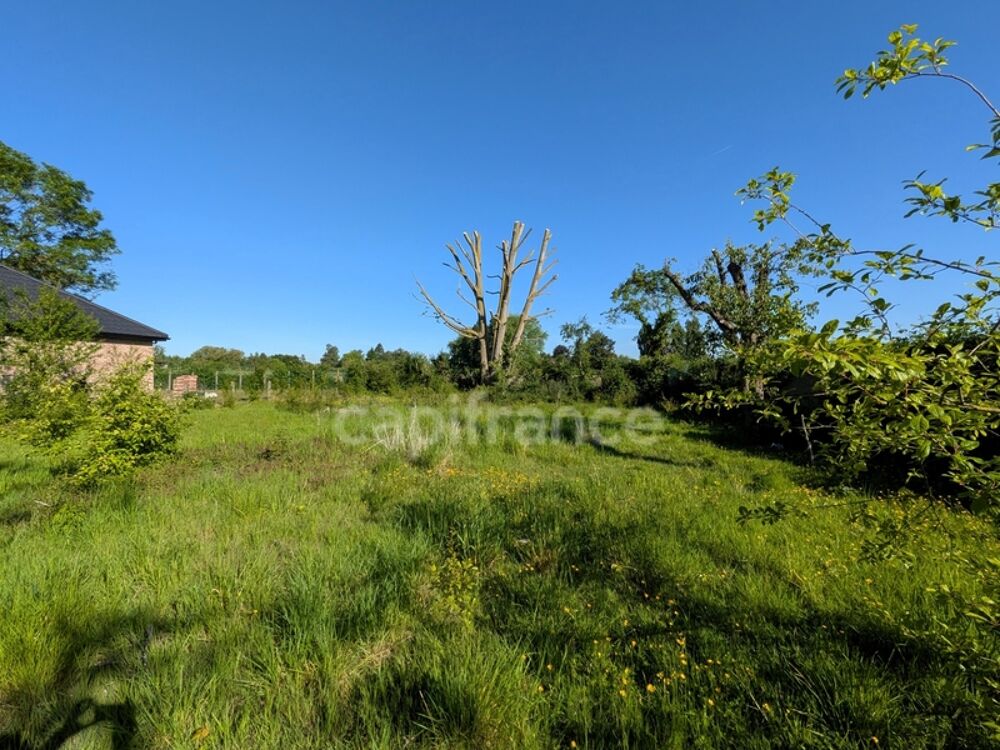 Vente Terrain JOLI TERRAIN AU MONT D HALLUIN LIBRE DE CONSTRUCTEUR Neuville en ferrain