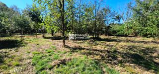  Terrain � vendre 29154 m�