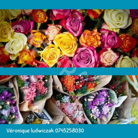 Fonds de commerce &agrave; vendre MONTIGNY EN OSTREVENT (59) 57500 59182 Montigny en ostrevent