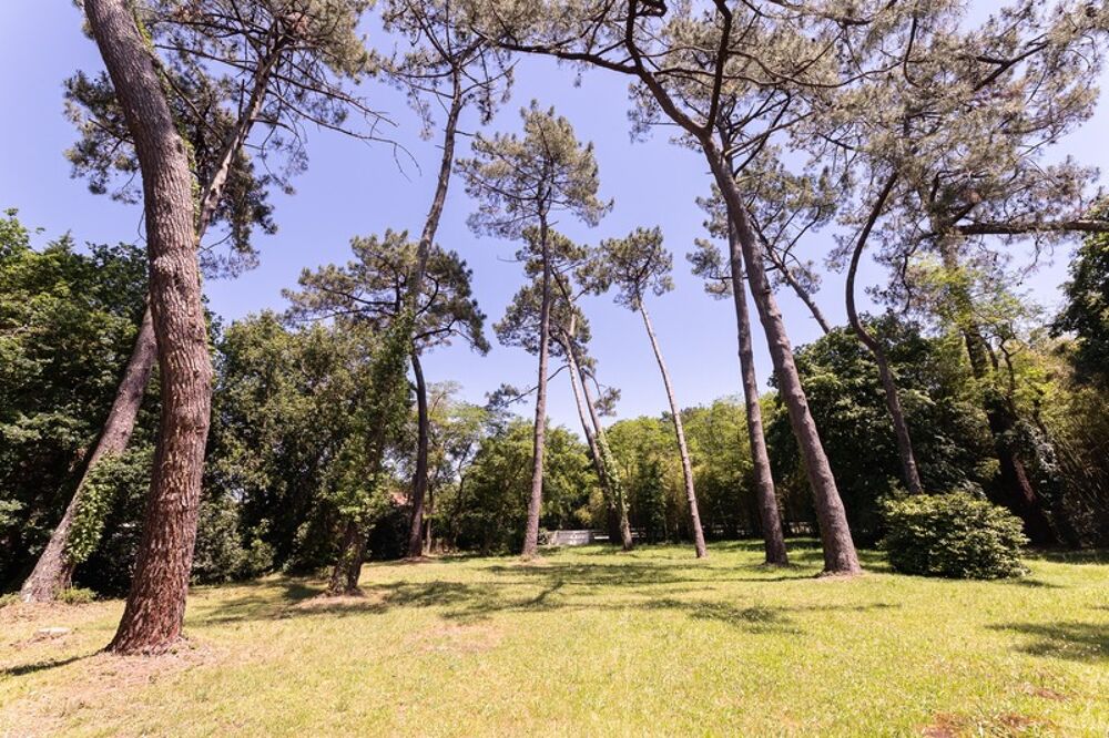 à vendre  Maison Labenne (40530)