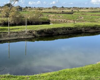  Terrain � vendre 11140 m�