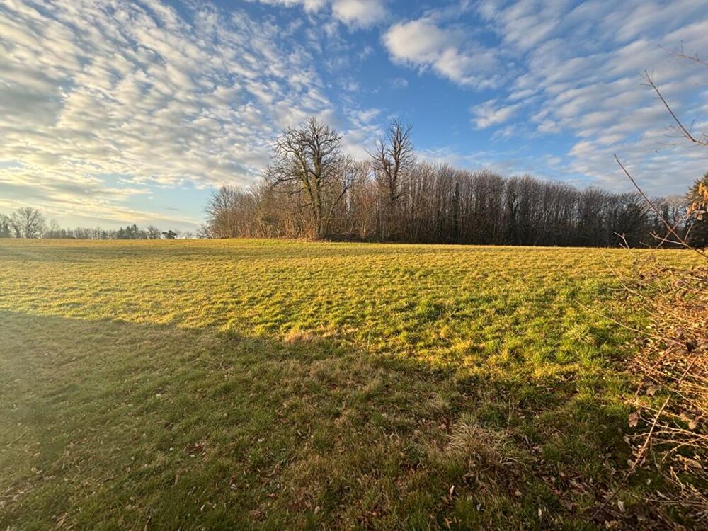 Vente Terrain Terrain Limoges