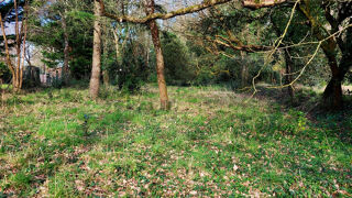  Maison � vendre 14 pi�ces 330 m�