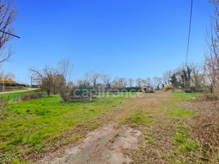  Terrain  vendre 11252 m